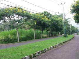  Land for sale in Batu, Malang Regency, Batu