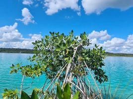 Terreno (Parcela) en venta en Othon P Blanco, Quintana Roo, Othon P Blanco