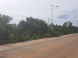  Terreno (Parcela) en venta en Panglao, Central Visayas, Panglao, Bohol, Central Visayas, Filipinas