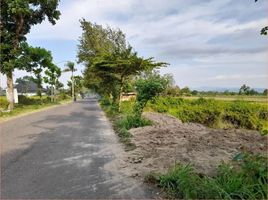  Land for sale in Prambanan, Klaten, Prambanan