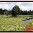  Land for sale in Ubud, Gianyar, Ubud