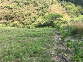  Land for sale in Pereira, Risaralda, Pereira