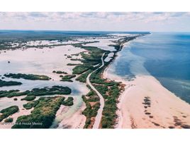  Grundstück zu verkaufen in Yobain, Yucatan, Yobain