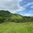  Land for sale in Fredonia, Antioquia, Fredonia