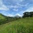  Land for sale in Fredonia, Antioquia, Fredonia