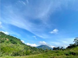  Land for sale in Fredonia, Antioquia, Fredonia