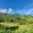  Land for sale in Fredonia, Antioquia, Fredonia