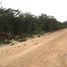  Grundstück zu verkaufen in Conkal, Yucatan, Conkal
