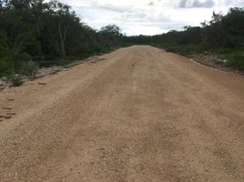  Grundstück zu verkaufen in Conkal, Yucatan, Conkal
