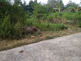  Grundstück zu verkaufen in Sleman, Yogyakarta, Moyudan