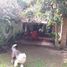 4 Bedroom House for sale in Chia, Cundinamarca, Chia