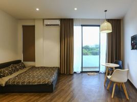 1 Phòng ngủ Chung cư for rent in Sơn Trà, Đà Nẵng, An Hải Bắc, Sơn Trà