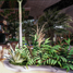 1 Bedroom Condo for sale in Cozumel, Quintana Roo, Cozumel
