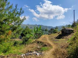  Land for sale in Bandung Institute of Technology, Sukajadi, Sumurbandung