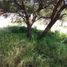  Land for sale in Tarimbaro, Michoacan, Tarimbaro