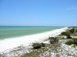  Grundstück zu verkaufen in Celestun, Yucatan, Celestun