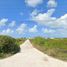  Terreno (Parcela) en venta en Chicxulub Pueblo, Yucatán, Chicxulub Pueblo, Yucatán