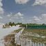  Terreno (Parcela) en venta en Chicxulub Pueblo, Yucatán, Chicxulub Pueblo, Yucatán