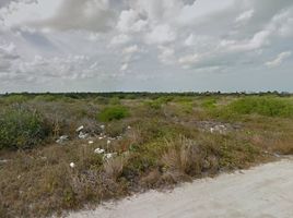  Terreno (Parcela) en venta en Chicxulub Pueblo, Yucatán, Chicxulub Pueblo, Yucatán