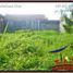  Land for sale in Ubud, Gianyar, Ubud