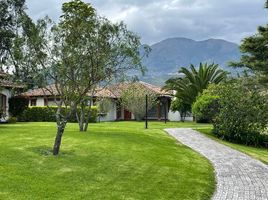 2 Habitación Casa en venta en Ecuador, Cotacachi, Cotacachi, Imbabura, Ecuador