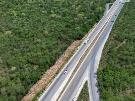  Grundstück zu verkaufen in Acanceh, Yucatan, Acanceh