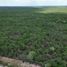  Grundstück zu verkaufen in Acanceh, Yucatan, Acanceh