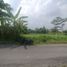  Land for sale in Yogyakarta, Sleman, Sleman, Yogyakarta