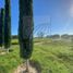  Land for rent in Apodaca, Nuevo Leon, Apodaca