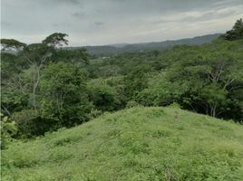  Terreno (Parcela) en venta en Chepo, Panamá, Chepo, Chepo