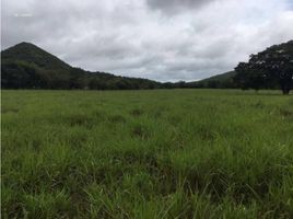  Terreno (Parcela) en venta en Panamá, Las Huacas, Río de Jesús, Veraguas, Panamá