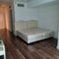 1 Bedroom Condo for rent in Greenbelt by Ayala Malls, Makati City, Makati City