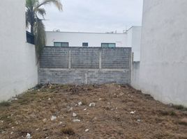  Grundstück zu verkaufen in Monterrey, Nuevo Leon, Monterrey