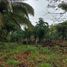  Land for sale in Centro, Tabasco, Centro, Tabasco