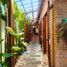 3 chambre Maison for sale in Hoi An, Quang Nam, Cam An, Hoi An