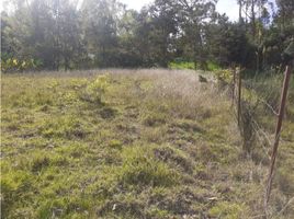  Terreno (Parcela) en venta en Gualaceo, Azuay, Gualaceo, Gualaceo