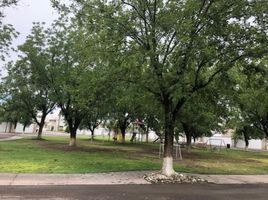  Grundstück zu verkaufen in Matamoros, Coahuila, Matamoros