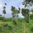  Land for sale in Bandung, West Jawa, Cileunyi, Bandung