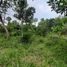  Land for sale in Bandung, West Jawa, Cileunyi, Bandung