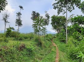  Land for sale in Cileunyi, Bandung, Cileunyi