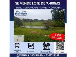  Land for sale in Cordoba, Monteria, Cordoba