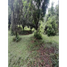  Land for sale in Cordoba, Monteria, Cordoba