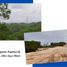  Land for sale in Tepus, Yogyakarta, Tepus, Gunung Kidul