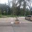  Land for rent in Zapopan, Jalisco, Zapopan