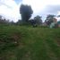  Land for rent in Zapopan, Jalisco, Zapopan