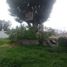  Land for rent in Zapopan, Jalisco, Zapopan