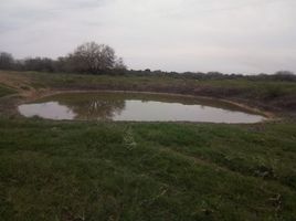  Land for sale in San Vicente Tancuayalab, San Luis Potosi, San Vicente Tancuayalab