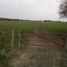  Land for sale in San Vicente Tancuayalab, San Luis Potosi, San Vicente Tancuayalab