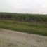  Land for sale in San Vicente Tancuayalab, San Luis Potosi, San Vicente Tancuayalab
