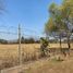  House for sale in Etzatlan, Jalisco, Etzatlan